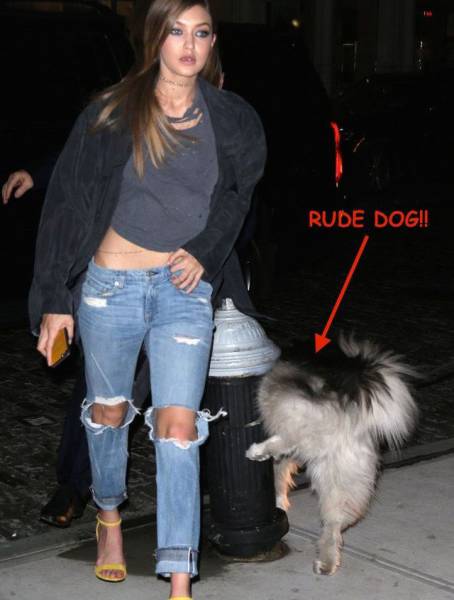 Acid Picdump (104 pics)