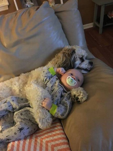 Acid Picdump (104 pics)