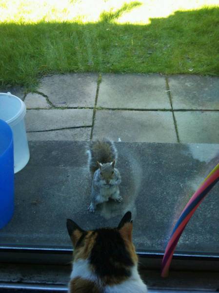 Acid Picdump (104 pics)
