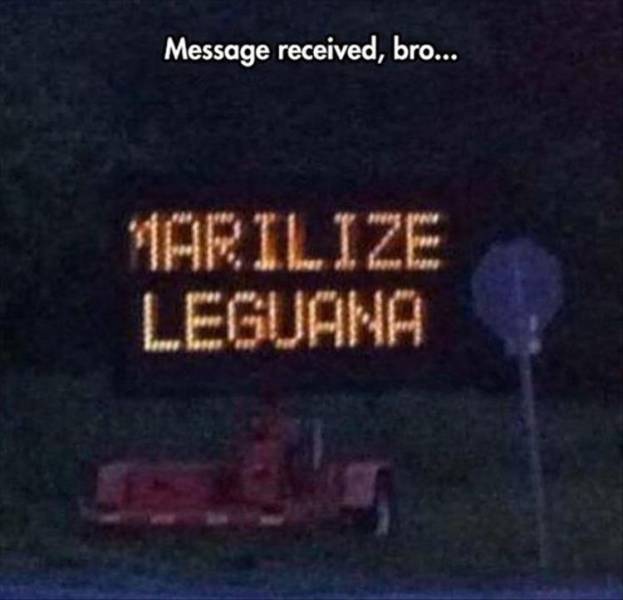 Acid Picdump (104 pics)
