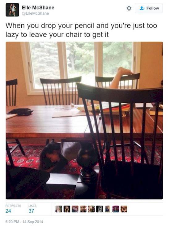 A Lazy Life Is The Best Kind Of Life There Is (45 pics)