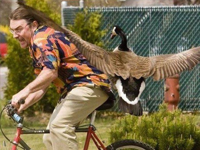 Acid Picdump (112 pics)