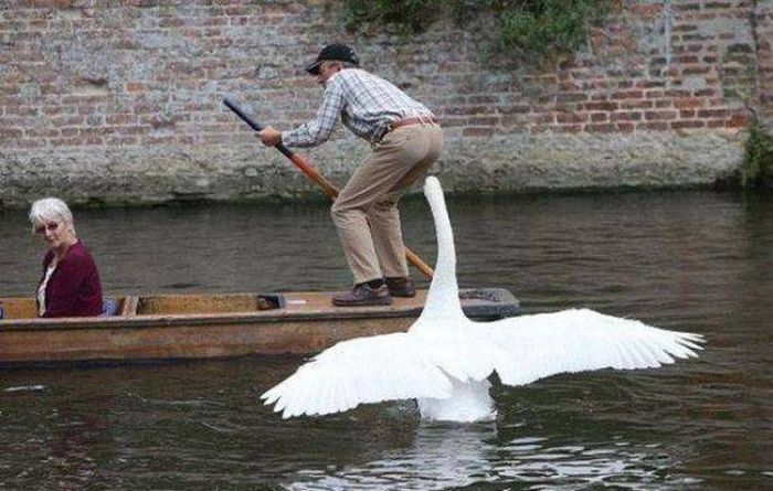Acid Picdump (112 pics)