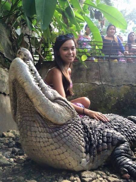Acid Picdump (112 pics)