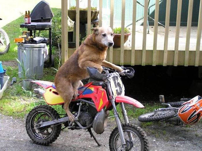 Acid Picdump (112 pics)