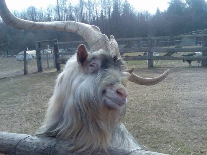 Acid Picdump (112 pics)
