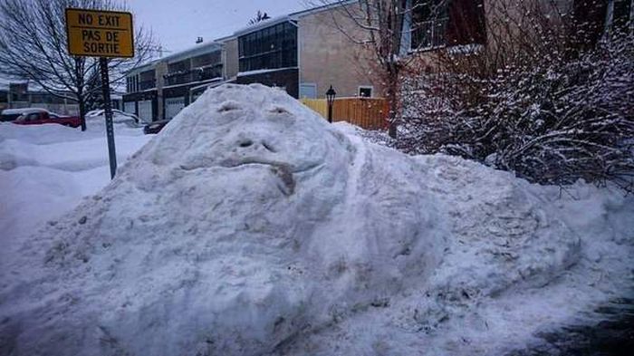 Acid Picdump (112 pics)