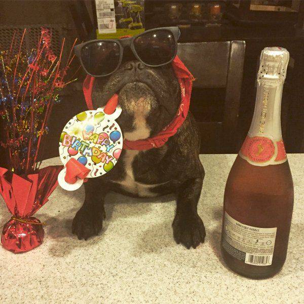 Acid Picdump (112 pics)