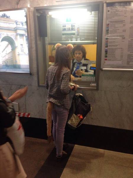 Acid Picdump (112 pics)