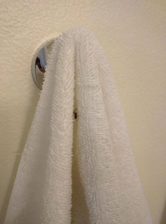 Acid Picdump (112 pics)
