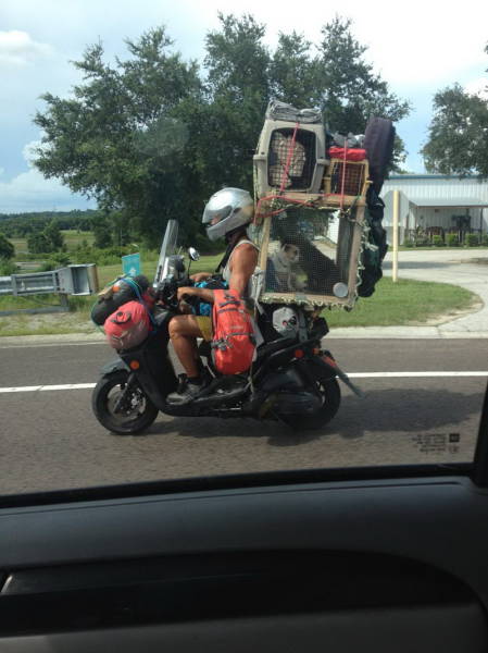 Crazy People Who Have No Business Riding Motorcycles (77 pics)