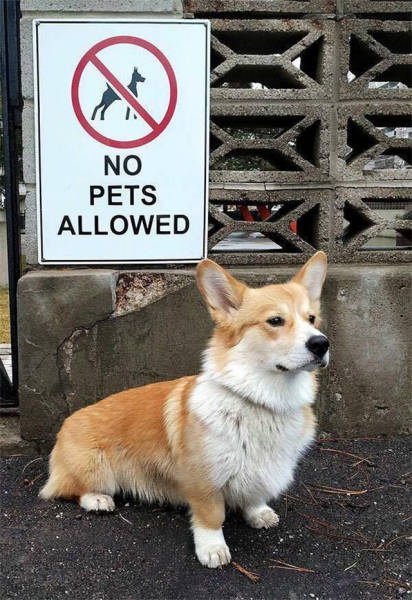 I Do What I Want. Part 74 (48 pics)