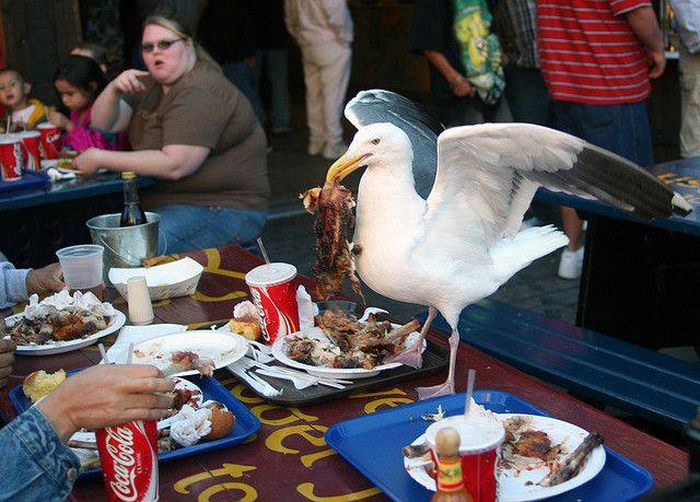 Acid Picdump (116 pics)