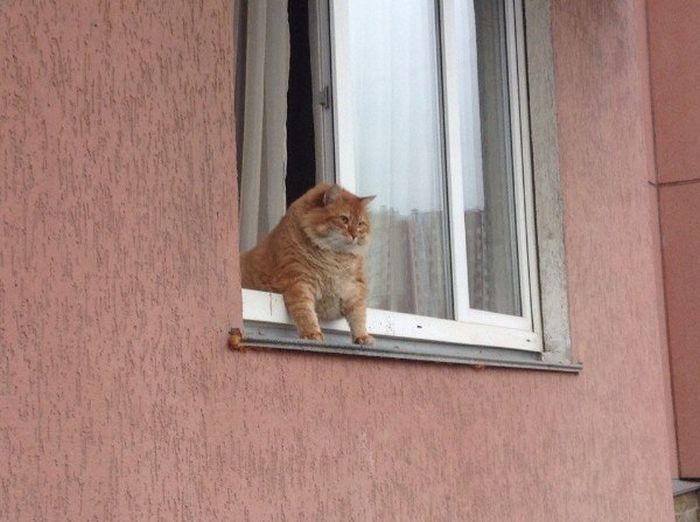 Acid Picdump (116 pics)