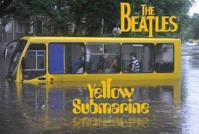 Acid Picdump (116 pics)
