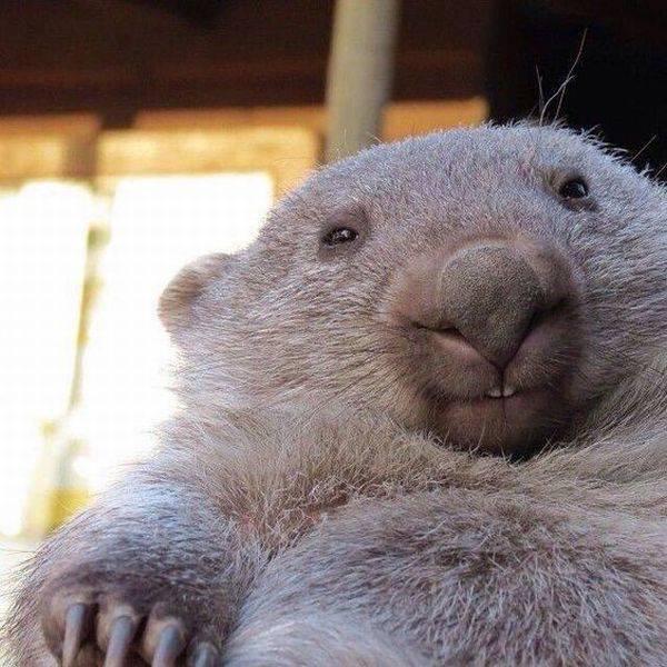 Acid Picdump (116 pics)