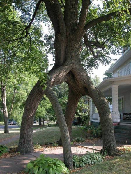 Acid Picdump (116 pics)
