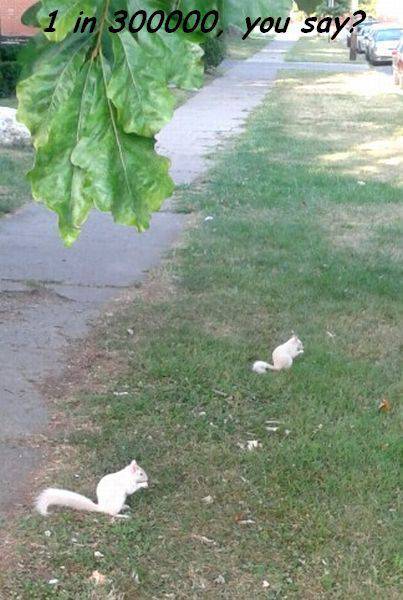 Acid Picdump (116 pics)