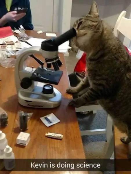 Acid Picdump (116 pics)