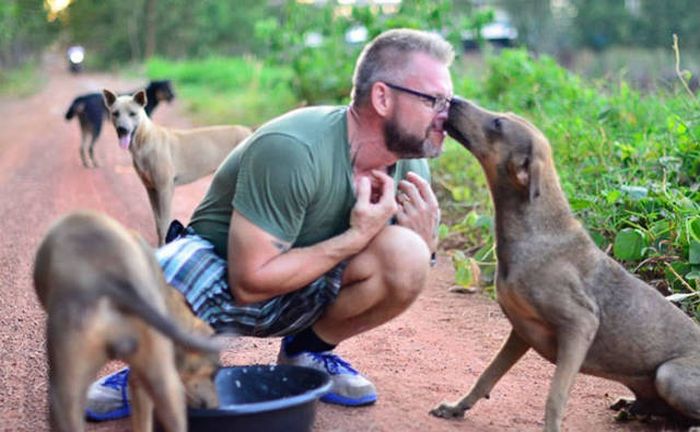 Every Single Day This Man Feeds 80 Stray Dogs In Thailand (13 pics)