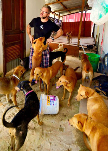 Every Single Day This Man Feeds 80 Stray Dogs In Thailand (13 pics)
