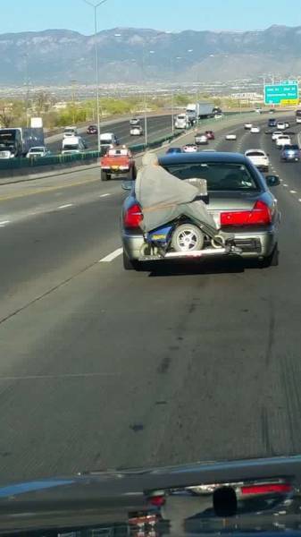It's Moments Like These That Will Make You Stop And Ask WTF? (39 pics)
