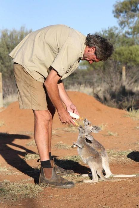 Find Out Why This Man Is Known As Kangaroo Dundee (20 pics)