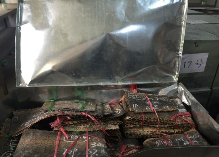 Chinese Authorities Bust Smugglers Trying To Move 25,000 Python Skins (7 pics)