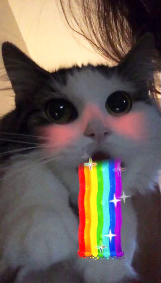 snapchat filters for photos