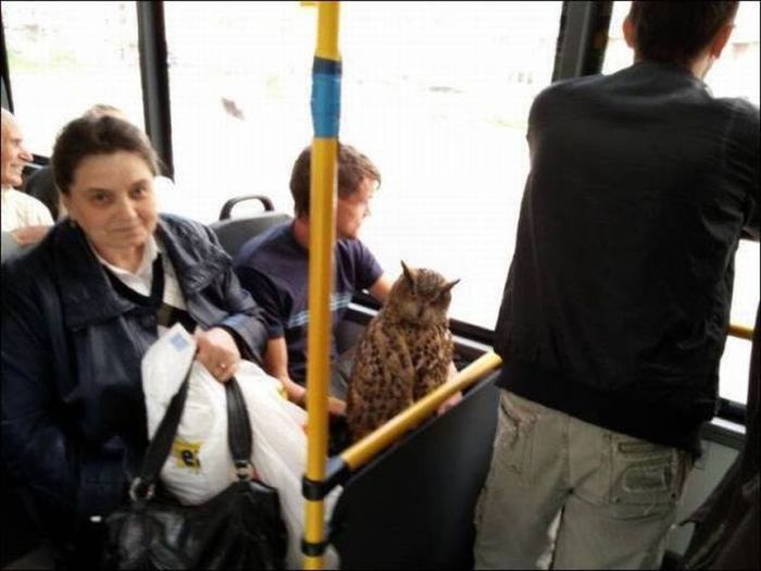 Acid Picdump (115 pics)
