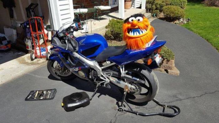 Acid Picdump (115 pics)