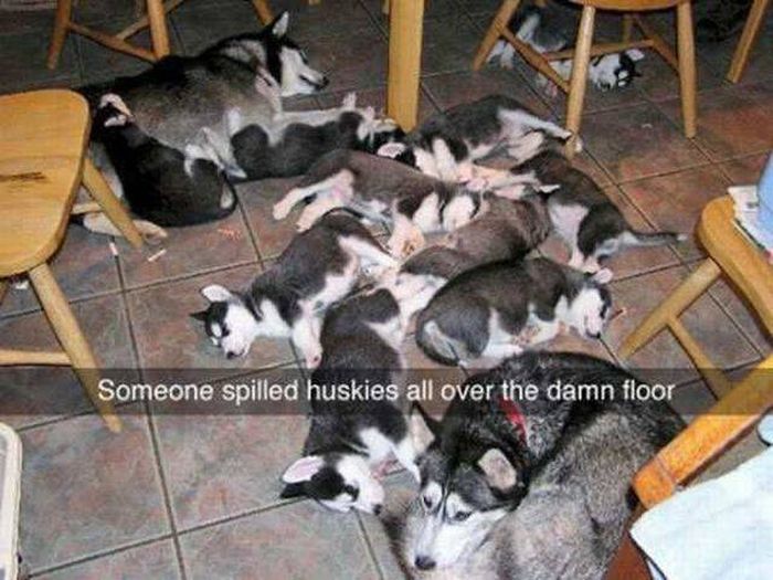 Acid Picdump (115 pics)