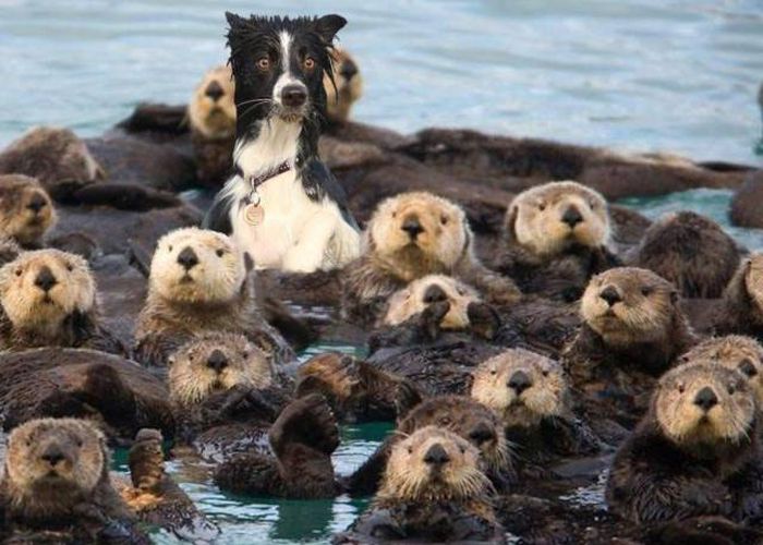 Acid Picdump (115 pics)