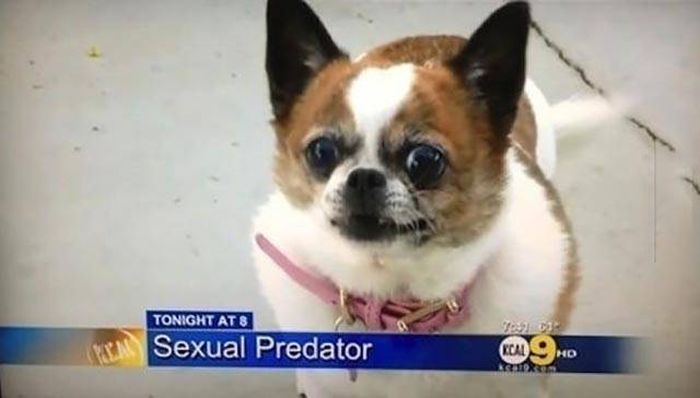 Acid Picdump (115 pics)