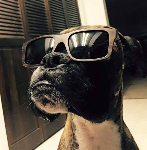 Acid Picdump (115 pics)