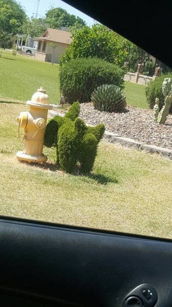 Acid Picdump (115 pics)