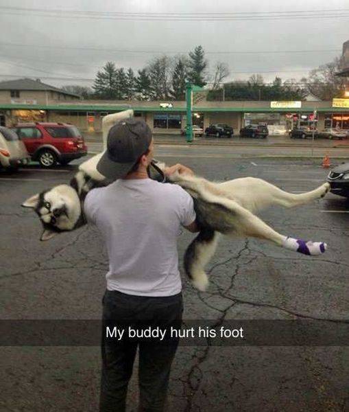Acid Picdump (115 pics)