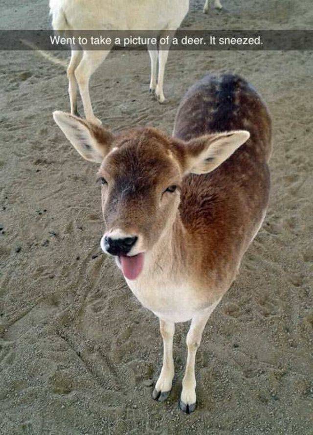 Acid Picdump (115 pics)