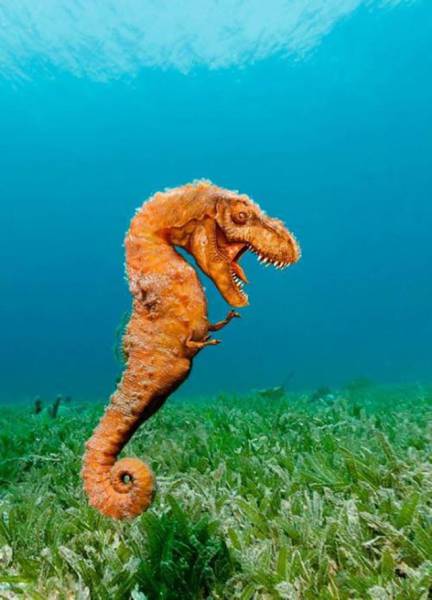 Acid Picdump (115 pics)