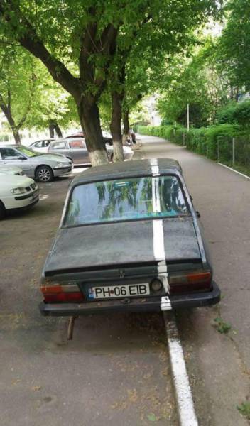 Acid Picdump (115 pics)