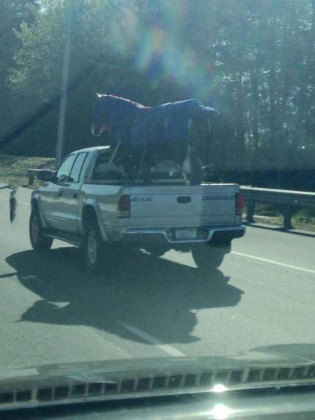 Acid Picdump (115 pics)