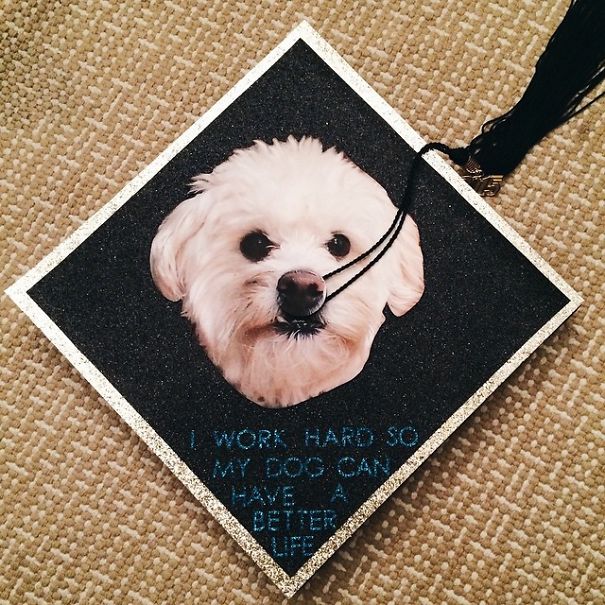 Awesome Students Who Totally Nailed It With Their Funny Graduation Caps (29 pics)