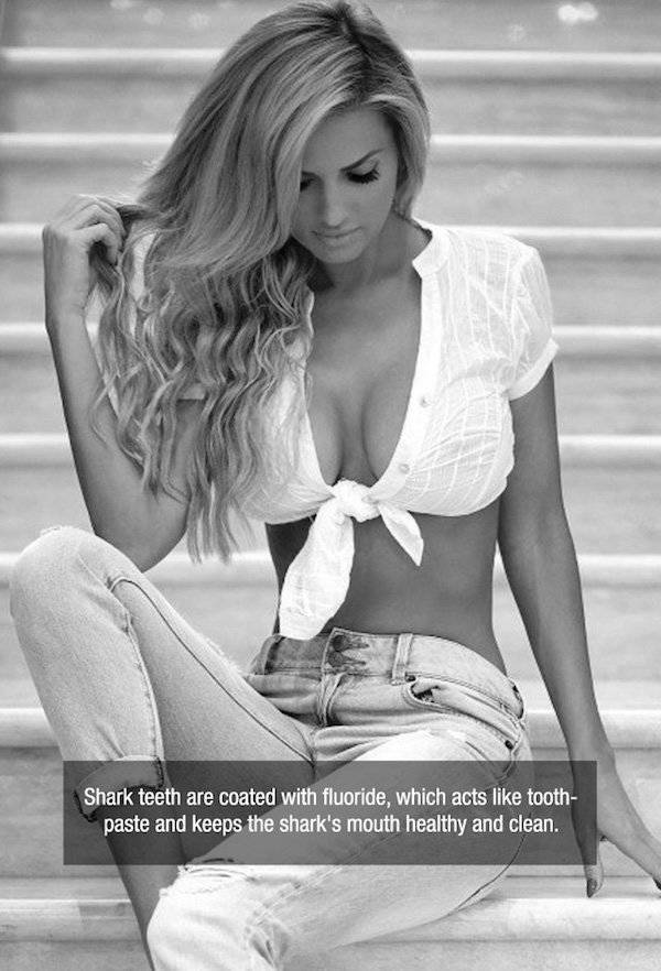 Hot Babes And Helpful Facts To Satisfy Your Eyes And Your Brain (31 pics)
