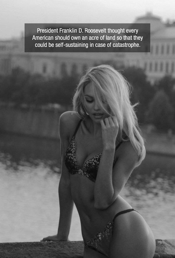 Hot Babes And Helpful Facts To Satisfy Your Eyes And Your Brain (31 pics)
