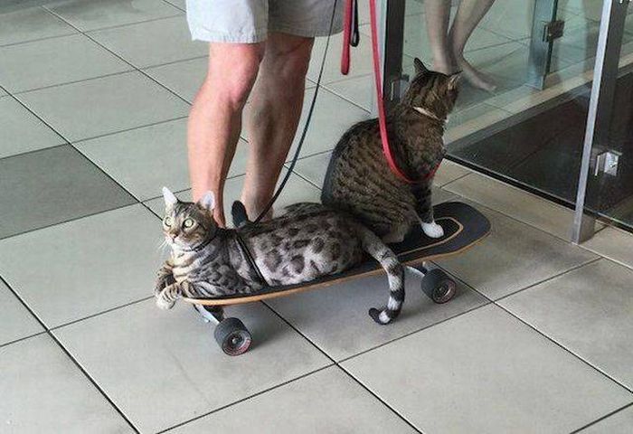 Acid Picdump (102 pics)