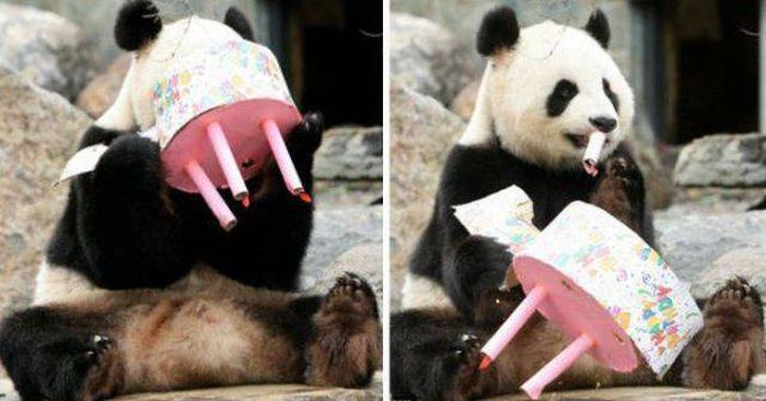 Acid Picdump (102 pics)