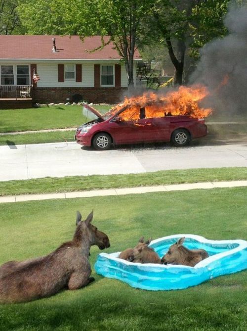 Acid Picdump (102 pics)