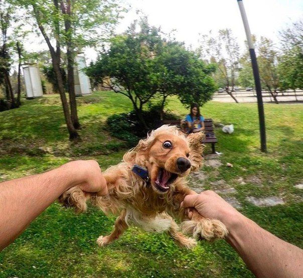 Acid Picdump (102 pics)