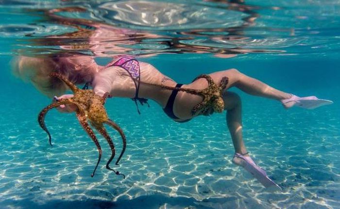 Acid Picdump (102 pics)