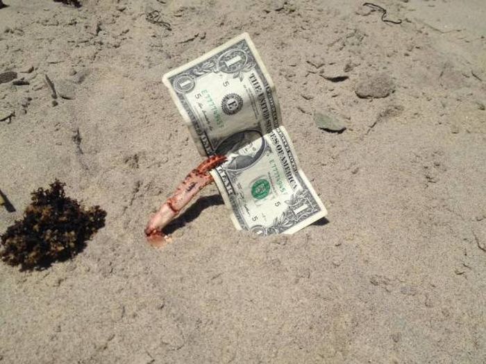 Acid Picdump (102 pics)